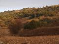 Ladera norte del valle del arroyo de la Vega