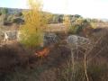 Presa del Paredón (ruinas)