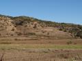 Campos de cereal y ladera con olivares