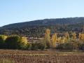 Bosque de ribera y al fondo olivares y monte mediterráneo