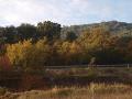 Carretera y ladera sur arbolada, con los colores del otoño