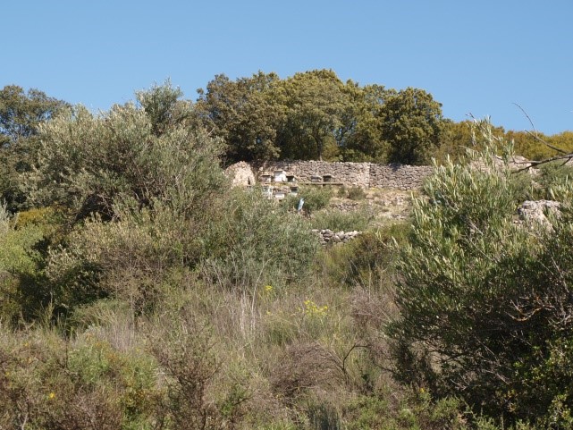 Colmenar entre el bosque mediterráneo