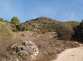 Camino al páramo desde Villar del Olmo