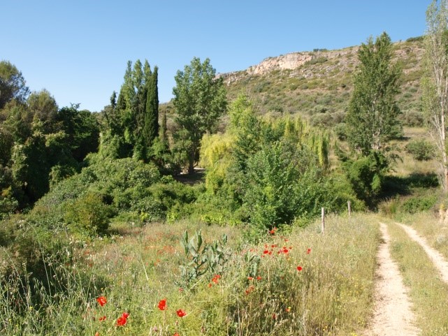 Arboleda de la Fuente del Arca