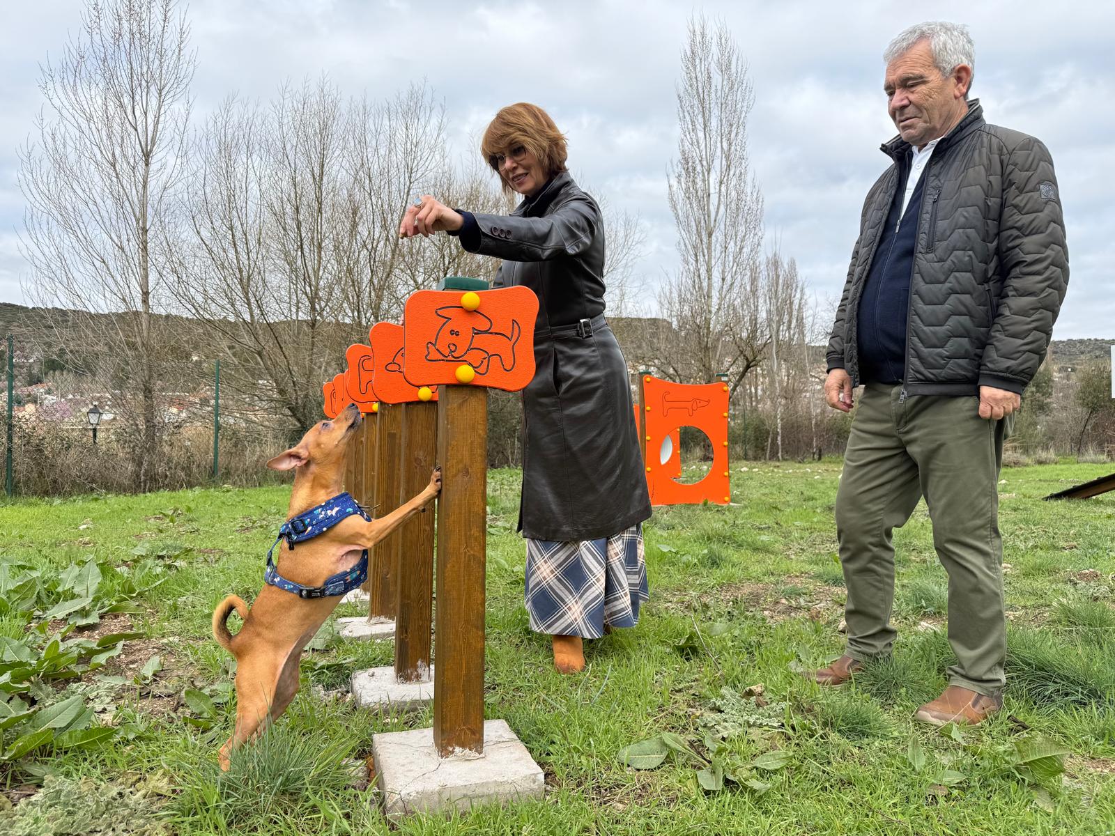 Parque-canino-Ambite2