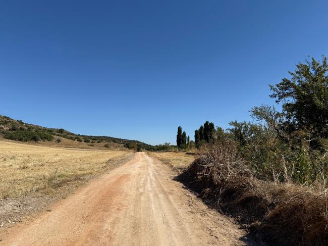camino2-t650