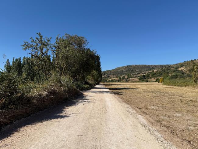 camino5-t650