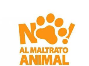 no-maltrato-animal.jpg